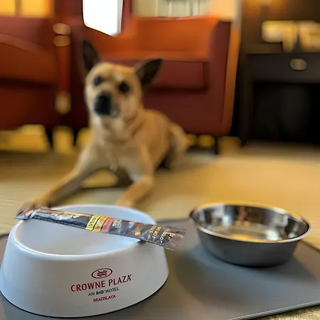 Crowne Plaza By Ihg 4* Братислава