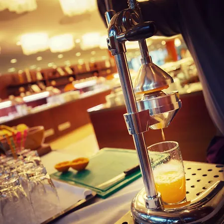 布拉迪斯拉发皇冠假日酒店