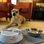 Crowne Plaza By Ihg 4* Bratysława